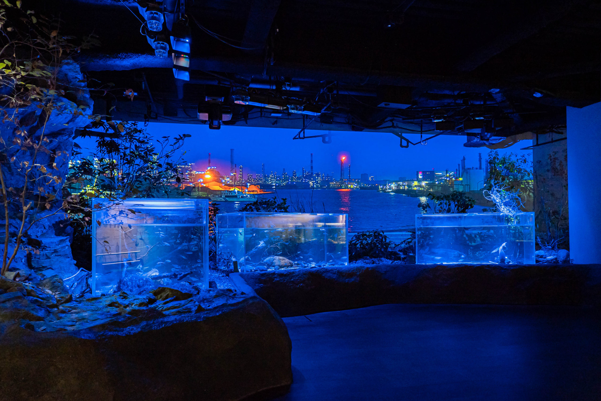 カワスイ,川崎水族館,多摩川ゾーン