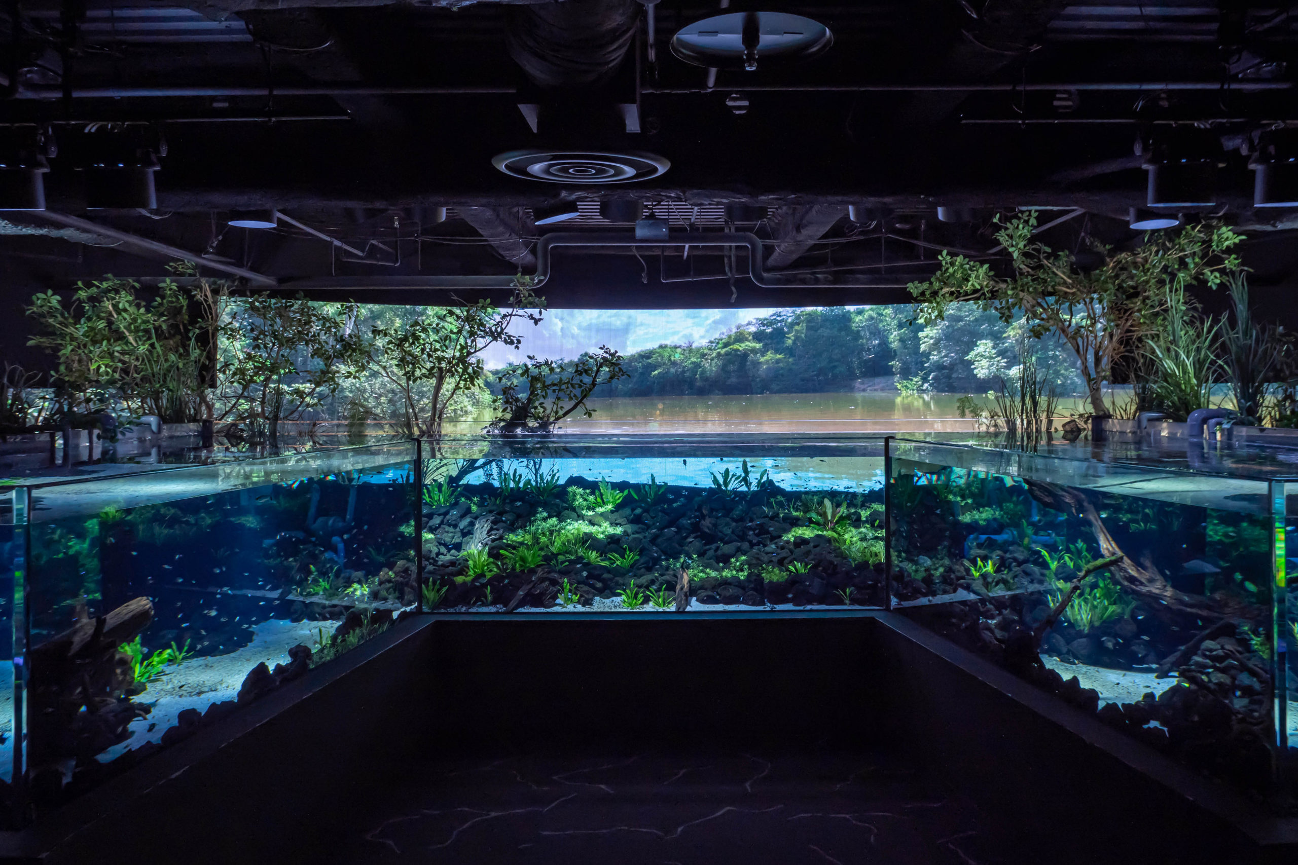 カワスイ,川崎水族館,パンタナルエリア