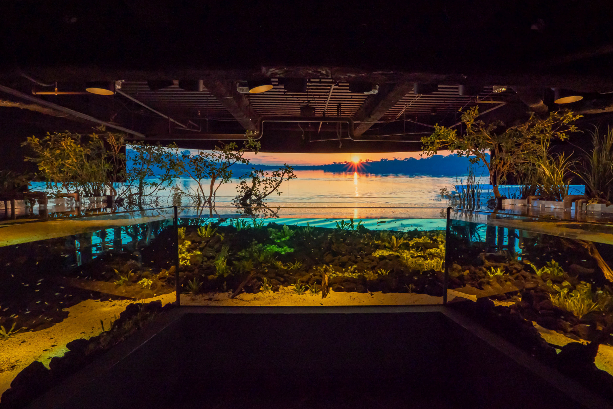 カワスイ,川崎水族館,パンタナルエリア