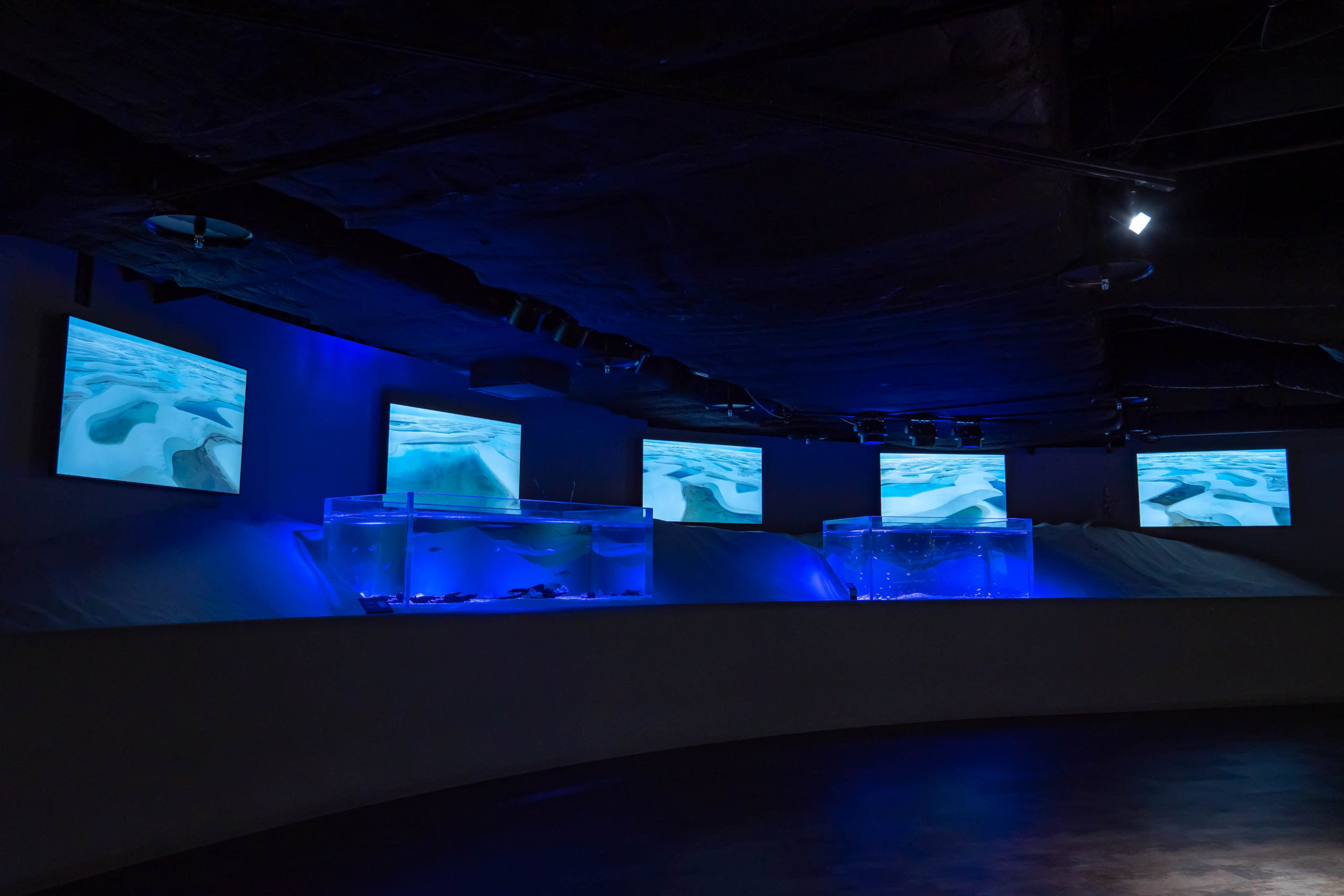 カワスイ,川崎水族館,レイソイスエリア