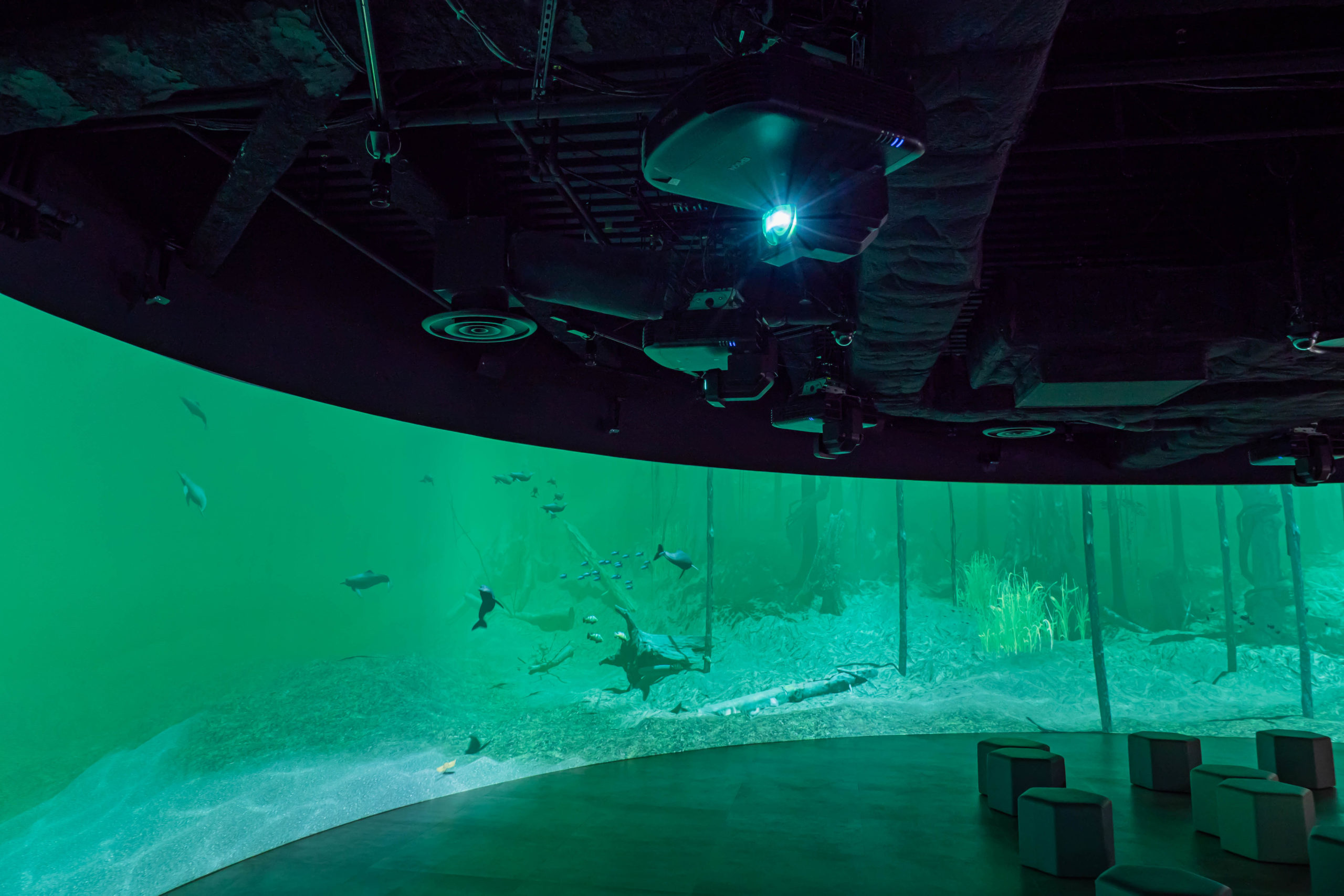 カワスイ,川崎水族館,パノラマゾーン