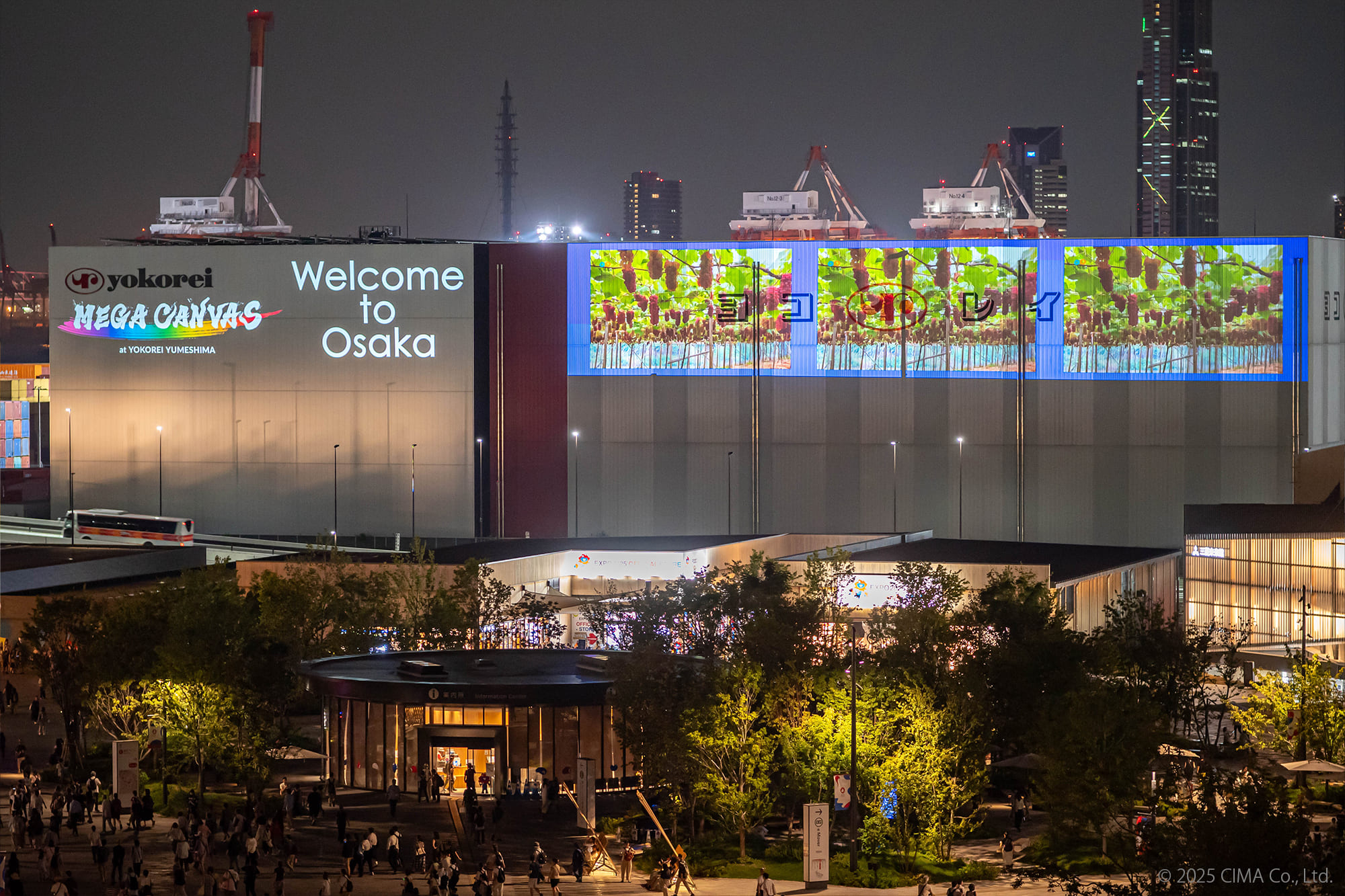 MEGA CANVAS,PT-RQ50KJ