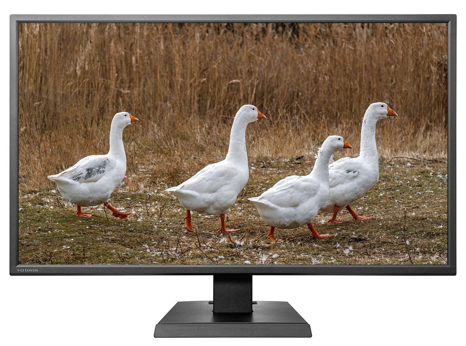 新着レンタル機材の写真