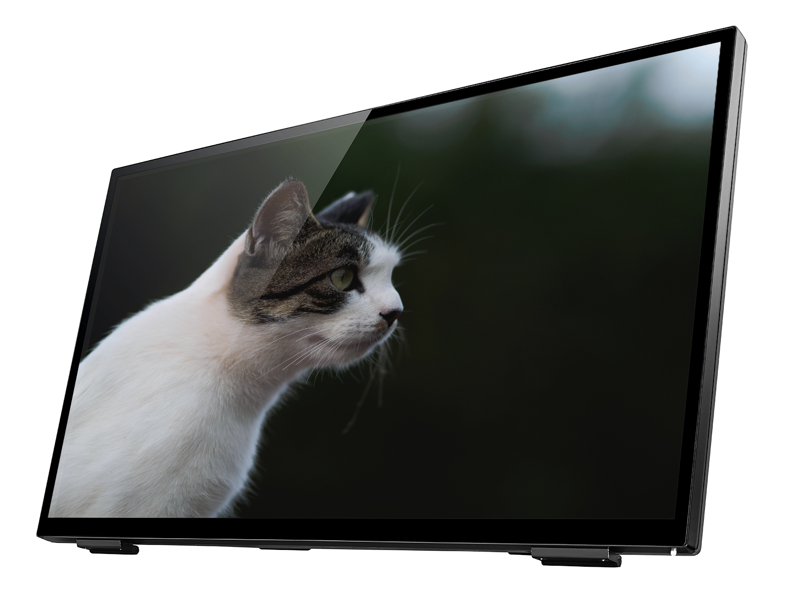 新着レンタル機材の写真