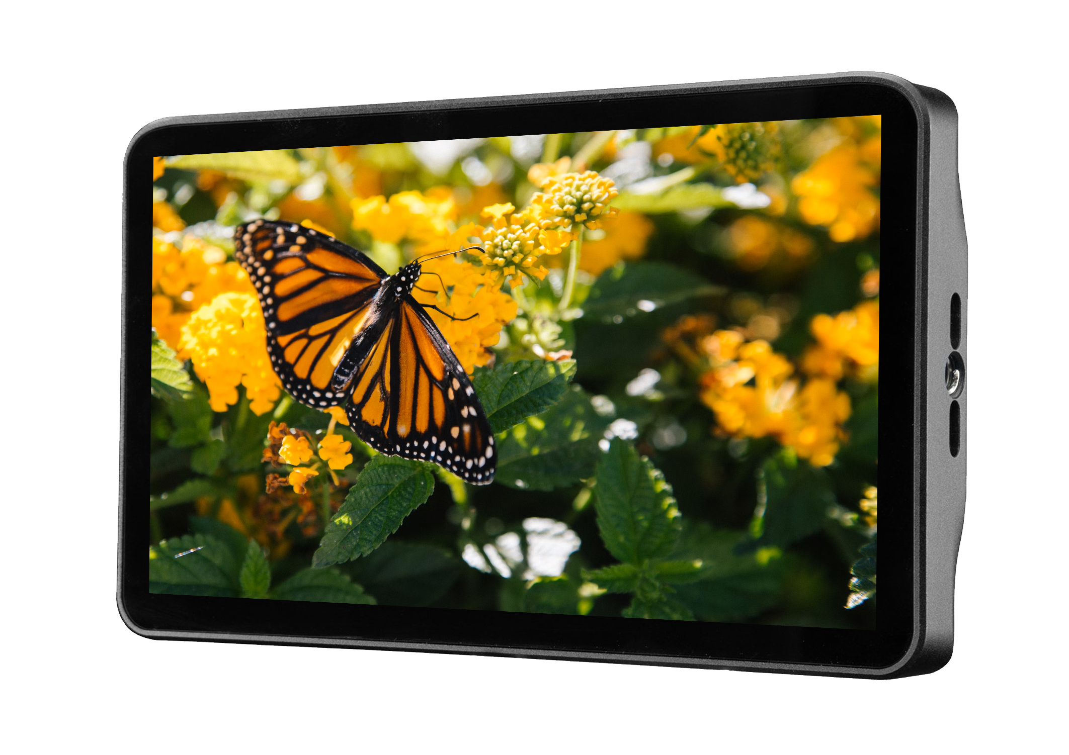 新着レンタル機材の写真